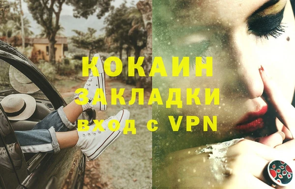 метадон Гусев