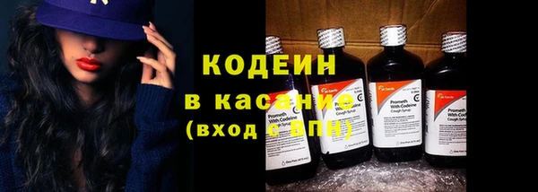 метадон Гусев