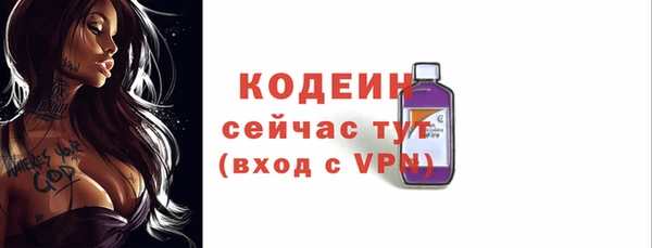 метадон Гусев