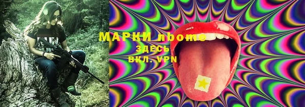 метадон Гусев
