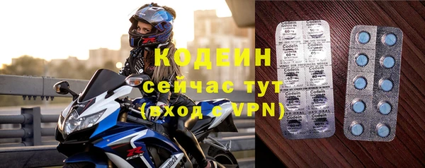 метадон Гусев
