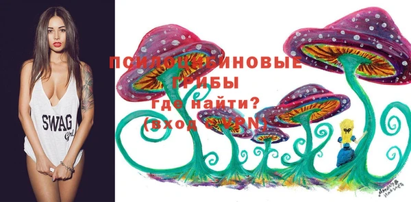 ALPHA-PVP Гусиноозёрск