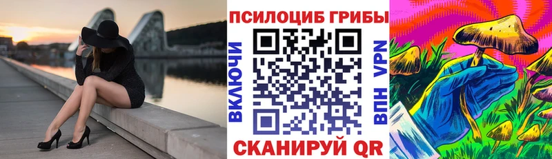 Купить  Анапа  Псилоцибиновые грибы GOLDEN TEACHER 